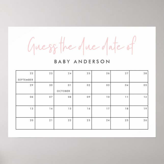 Twin baby shower pink girly modern typography poster (Front)