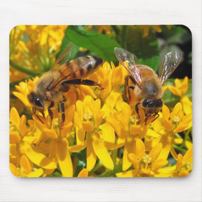 Twin Bees ~ mousepad (Front)