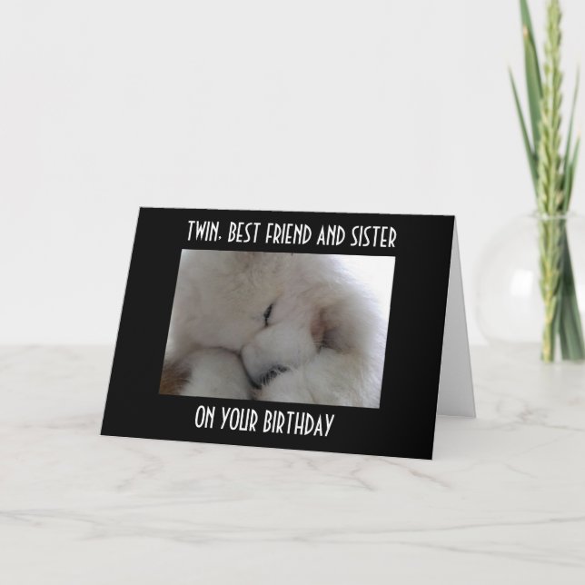 TWIN, BEST FRIEND AND SISTER ON YOUR BIRTHDAY LOVE CARD (Front)