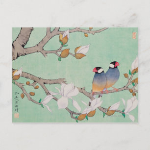 Twin Birds in the Branches Postcard