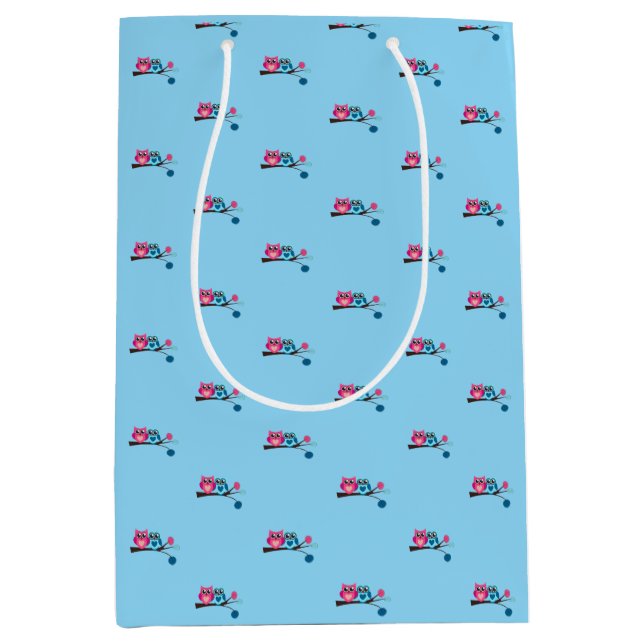 Twin Blue and Pink Owls  Medium Gift Bag (Front)