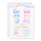 Twin Boy and Girl Pink Blue Baby Shower Invitation