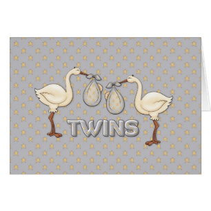 Twin Boys