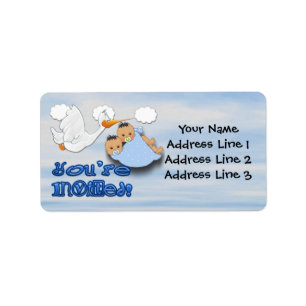 Twin Boys - Stork Baby Shower Address Labels