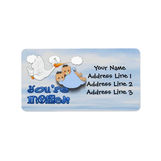 Twin Boys - Stork Baby Shower Address Labels (Front)