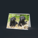 **TWIN BROTHER OR TWIN SISTER** BIRTHDAY CARD<br><div class="desc">**ULTIMATE TWIN BIRTHDAY LOVE** FOR YOUR TWIN AND RIGHT NOW THIS IS ONE OF MY "ALL TIME FAVORITE" THAT I HAVE MADE IN ALL THE "YEARS" I HAVE HAD THIS AWESOME STORE!!!!! HOPE YOU LIKE IT AND REMEMBER YOU CAN CHANGE THE VERSE INSIDE THIS ONE FOR SURE :) MAKE IT...</div>