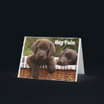 **TWIN BROTHER OR TWIN SISTER** BIRTHDAY CARD<br><div class="desc">**ULTIMATE TWIN BIRTHDAY LOVE** FOR YOUR TWIN AND RIGHT NOW THIS IS ONE OF MY "ALL TIME FAVORITE" THAT I HAVE MADE IN ALL THE "YEARS" I HAVE HAD THIS AWESOME STORE!!!!! HOPE YOU LIKE IT AND REMEMBER YOU CAN CHANGE THE VERSE INSIDE THIS ONE FOR SURE :) MAKE IT...</div>