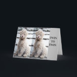 **TWIN BROTHER OR TWIN SISTER** BIRTHDAY CARD<br><div class="desc">**ULTIMATE TWIN BIRTHDAY LOVE** FOR YOUR TWIN AND RIGHT NOW THIS IS ONE OF MY "ALL TIME FAVORITE" THAT I HAVE MADE IN ALL THE "YEARS" I HAVE HAD THIS AWESOME STORE!!!!! HOPE YOU LIKE IT AND REMEMBER YOU CAN CHANGE THE VERSE INSIDE THIS ONE FOR SURE :) MAKE IT...</div>