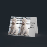 **TWIN BROTHER OR TWIN SISTER** BIRTHDAY CARD<br><div class="desc">**ULTIMATE TWIN BIRTHDAY LOVE** FOR YOUR TWIN AND RIGHT NOW THIS IS ONE OF MY "ALL TIME FAVORITE" THAT I HAVE MADE IN ALL THE "YEARS" I HAVE HAD THIS AWESOME STORE!!!!! HOPE YOU LIKE IT AND REMEMBER YOU CAN CHANGE THE VERSE INSIDE THIS ONE FOR SURE :) MAKE IT...</div>