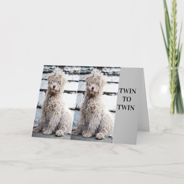 **TWIN BROTHER OR TWIN SISTER** BIRTHDAY CARD (Front)