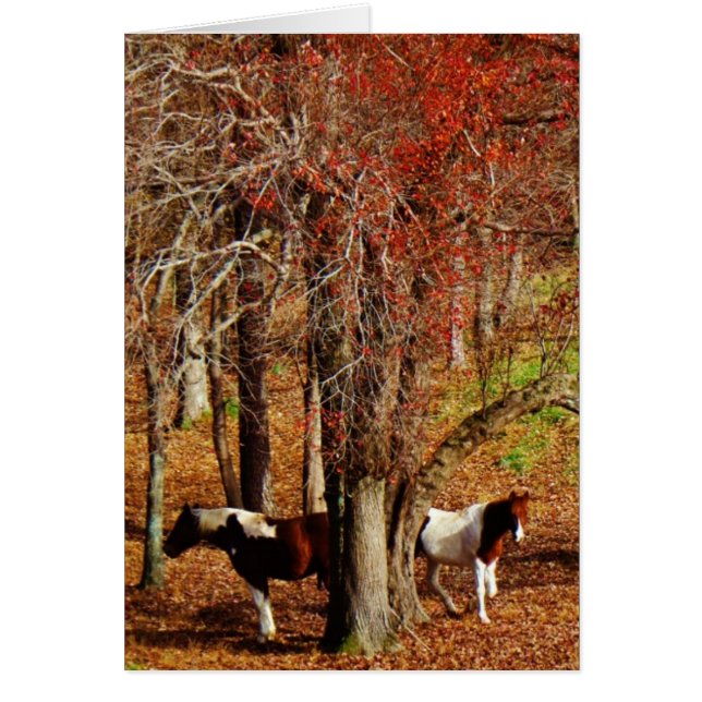 Twin Brown and White Horses (Front)