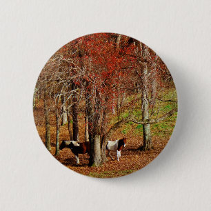 Twin Brown and White Horses 6 Cm Round Badge