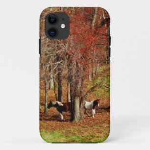Twin Brown and White Horses iPhone 11 Case
