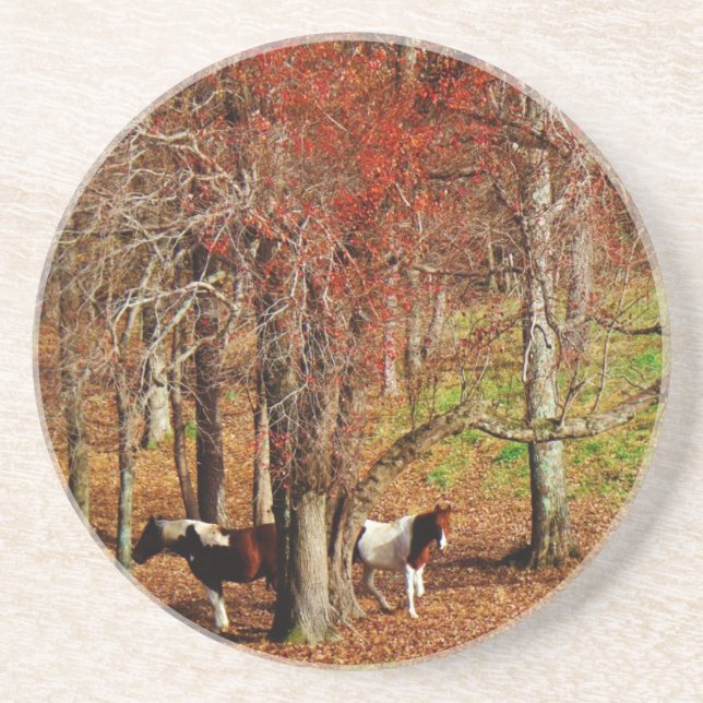 Twin Brown and White Horses Coaster (Front)