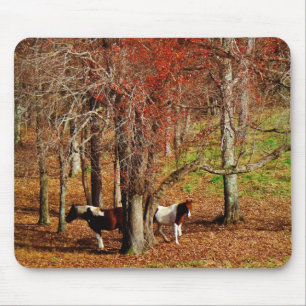 Twin Brown and White Horses Mouse Mat