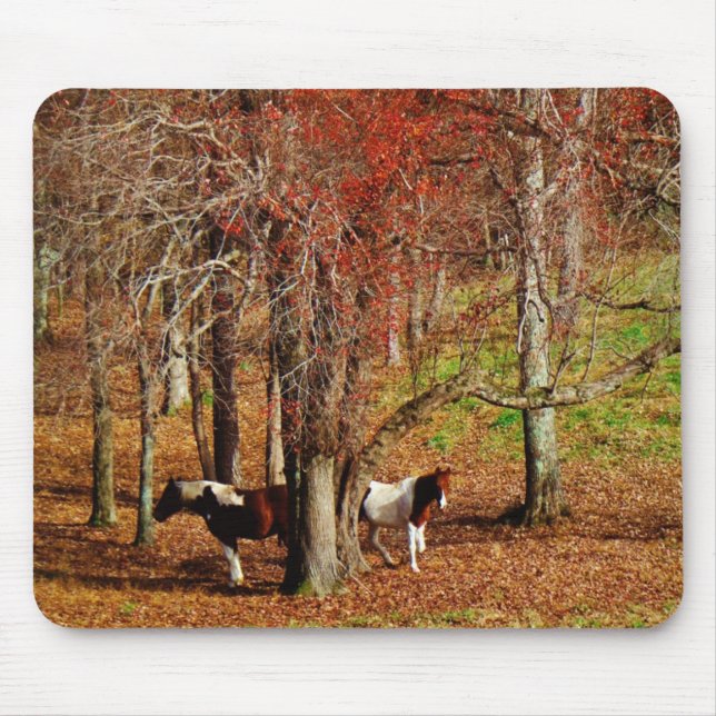 Twin Brown and White Horses Mouse Mat (Front)