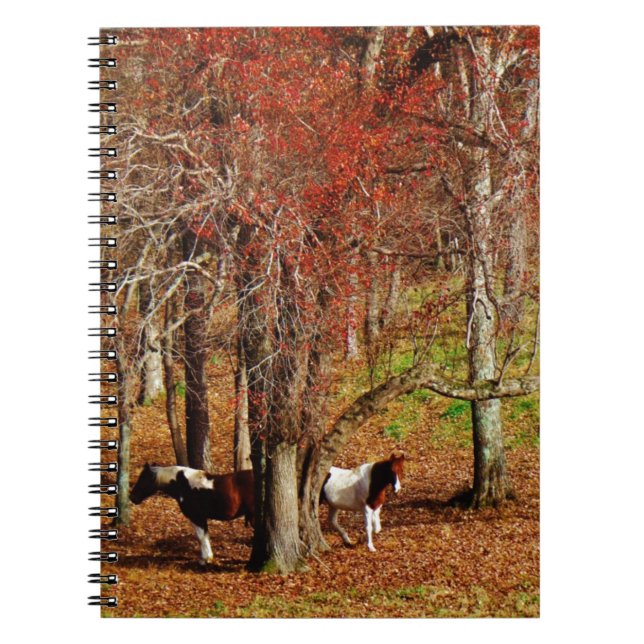 Twin Brown and White Horses Notebook (Front)