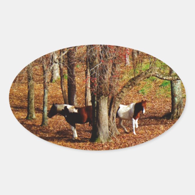Twin Brown and White Horses Oval Sticker (Front)