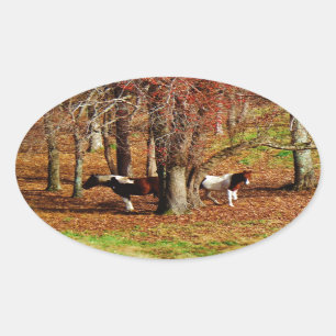 Twin Brown and White Horses Oval Sticker