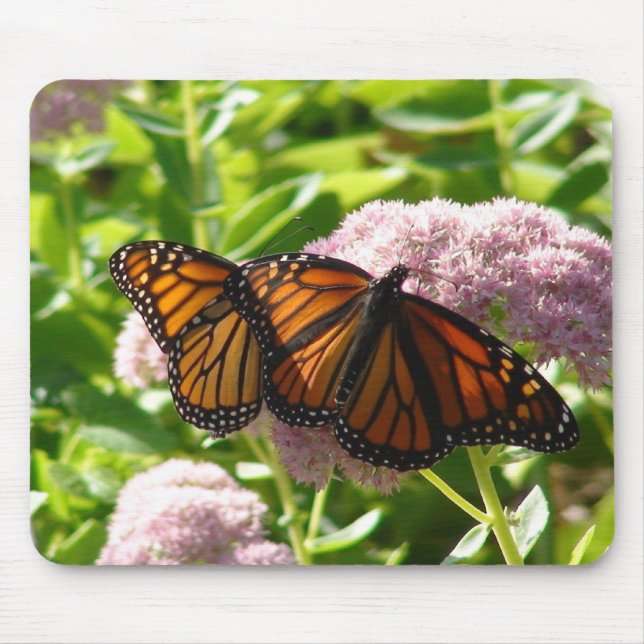 TWIN BUTTERFLIES MOUSE MAT (Front)