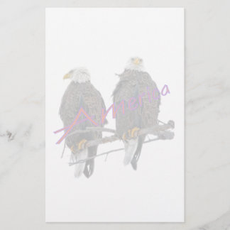 Twin Eagles America Stationery