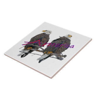 Twin Eagles America tile