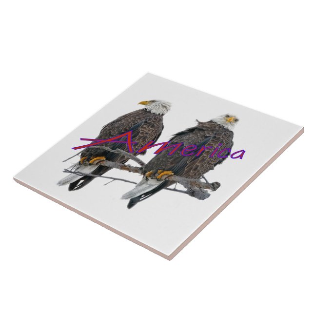 Twin Eagles America tile (Side)