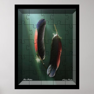 Twin Feathers Poster