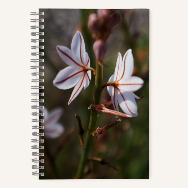 Twin Flower Spiral Notebook (Front)