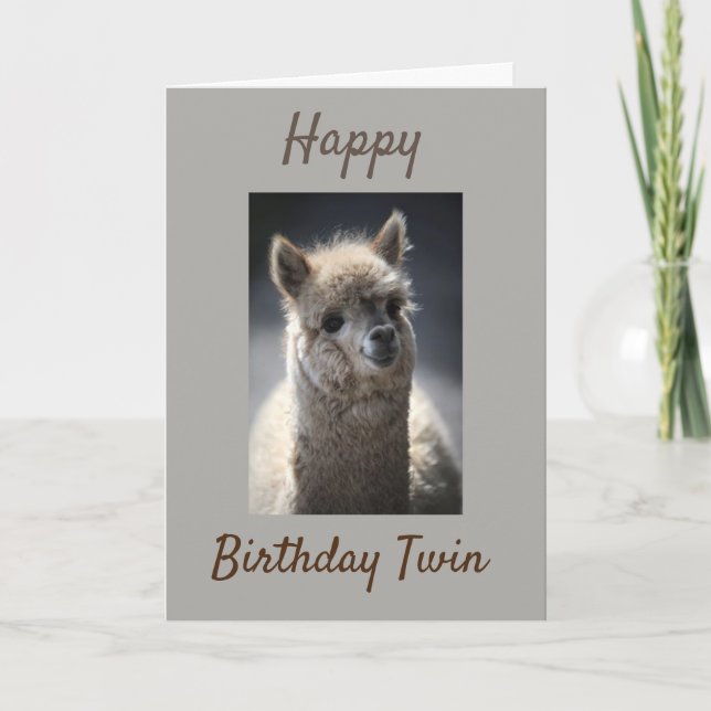 "TWIN" HAPPY BIRTHDAY OLDER TWIN! CARD (Front)