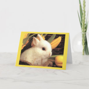 ***TWIN*** HAPPY **EASTER** AND HAPPY SPRING HOLIDAY CARD