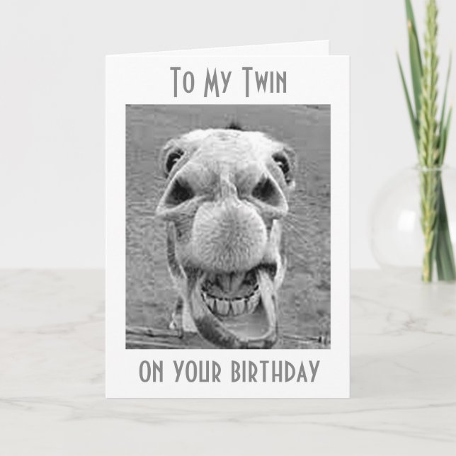 TWIN-HEE HAW YOU ARE A YEAR OLDER-BIRTHDAY HUMOR CARD (Front)