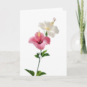 Twin Hibiscus Elegance Blush & Ivory Bloom Harmony Card
