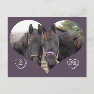 TWIN HORSES VALENTINE HOLIDAY POSTCARD