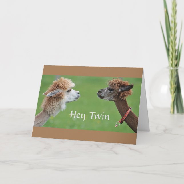 TWIN HUMOR ON MY FAVORITE TWIN'S BIRTHDAY! CARD (Front)