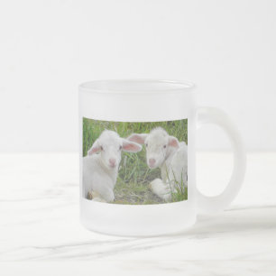 Twin Lamb Baby Animal Thinking Of You Frosted Glass Coffee Mug