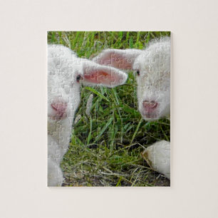 Twin Lamb Baby Animal Thinking Of You Jigsaw Puzzle