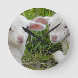 Twin Lamb Baby Animal Thinking Of You Round Clock