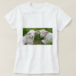 Twin Lamb Baby Animal Thinking Of You T-Shirt