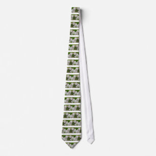 Twin Lamb Baby Animal Thinking Of You Tie