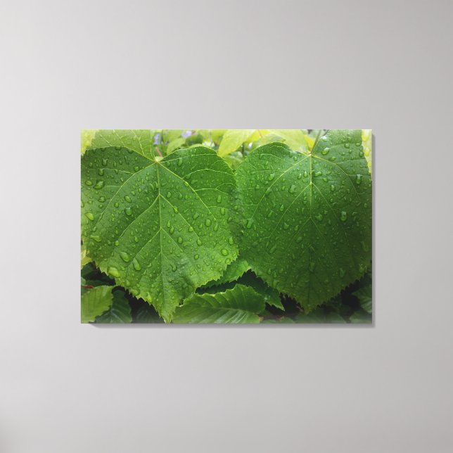 twin leaves canvas print (Front)