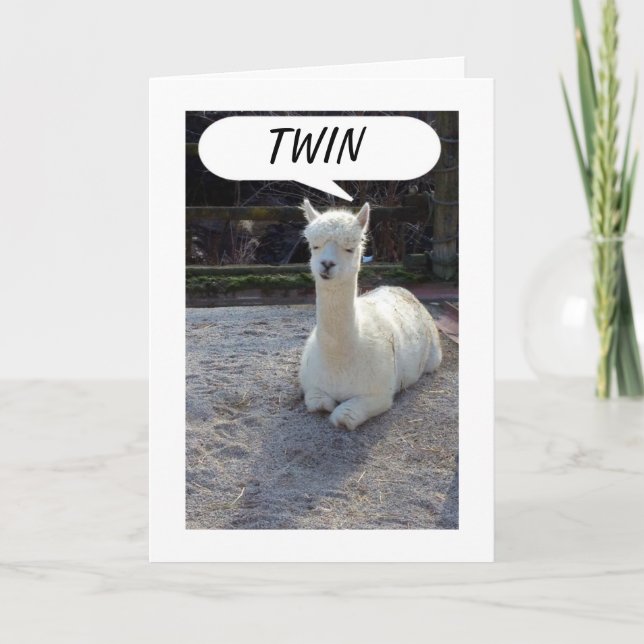 TWIN-LLAMA TELLS NO ONE HAS A BETTER TWIN THAN ME CARD (Front)