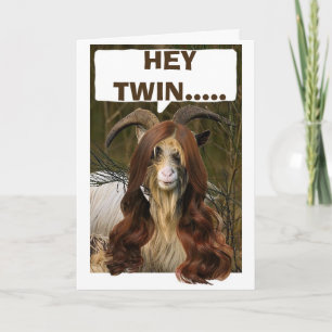 TWIN-LONGHAIRED GOAT IN LONGHAIRED WIG BIRTHDAY CARD
