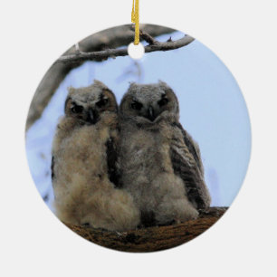Twin Owls - Ceramic Ornament