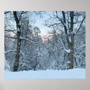 Twin Peaks Snow on Trees Poster