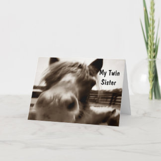 ***TWIN SISTER*** 40th BIRTHDAY HUMOR Card