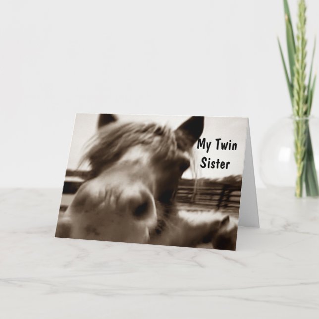 ***TWIN SISTER*** 40th BIRTHDAY HUMOR Card (Front)