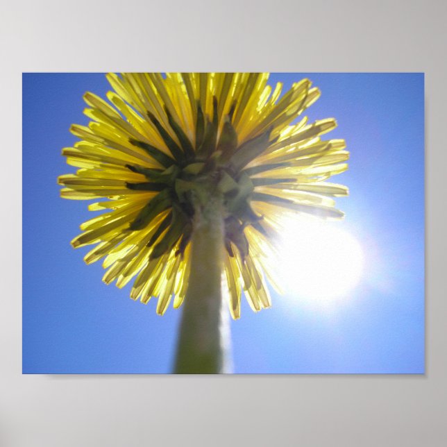 Twin Suns Poster (Front)