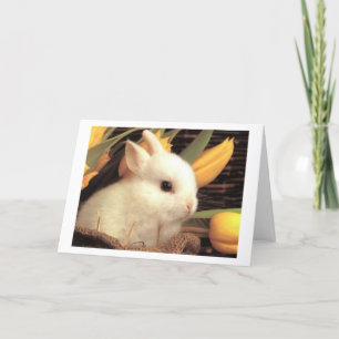 TWIN-THIS BUNNY SAYS HAPPY EASTER HOLIDAY CARD