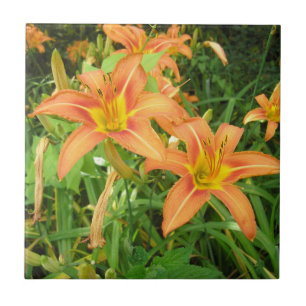 Twin Tiger Lilies Tile